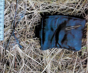 Policja z Zawiercia chce zidentyfikować ciało mężczyzny o srebrnych zębach. Znaleźli je 11 lat temu