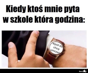 Szkoła memy