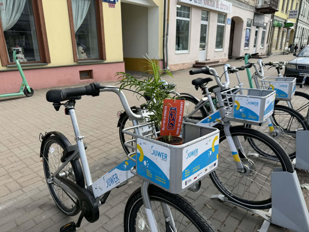 Darmowe palmy na ulicach Suwałk! Niezwykła akcja Radia ESKA