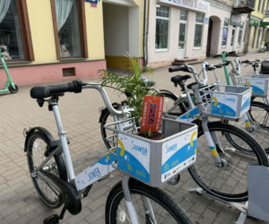 Darmowe palmy na ulicach Suwałk! Niezwykła akcja Radia ESKA