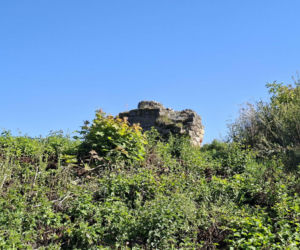 Ossolin