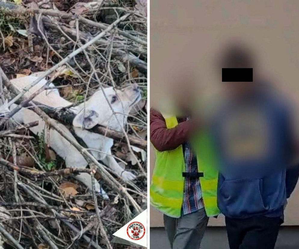 Płakał nad tym psem. Damian zastawiał pułapki na leśną zwierzynę. Kundelek umierał w męczarniach