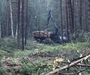 Ruszają prace przy budowie tulelu pod Świną