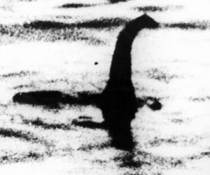 Potwór z Loch Ness jest żółwiem! Naukowcy ujawniają