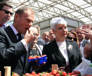 Donald Tusk je truskawki na targu w Zagrzebiu