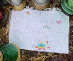 Śmierć 11-letniej Danusi z Jeleniej Góry. Raport kuratorium ujawnia zaniedbania