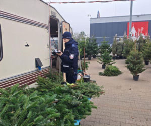 Policjanci z Grudziądza trwają punkty sprzedaży choinek 