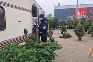 Policjanci z Grudziądza trwają punkty sprzedaży choinek 