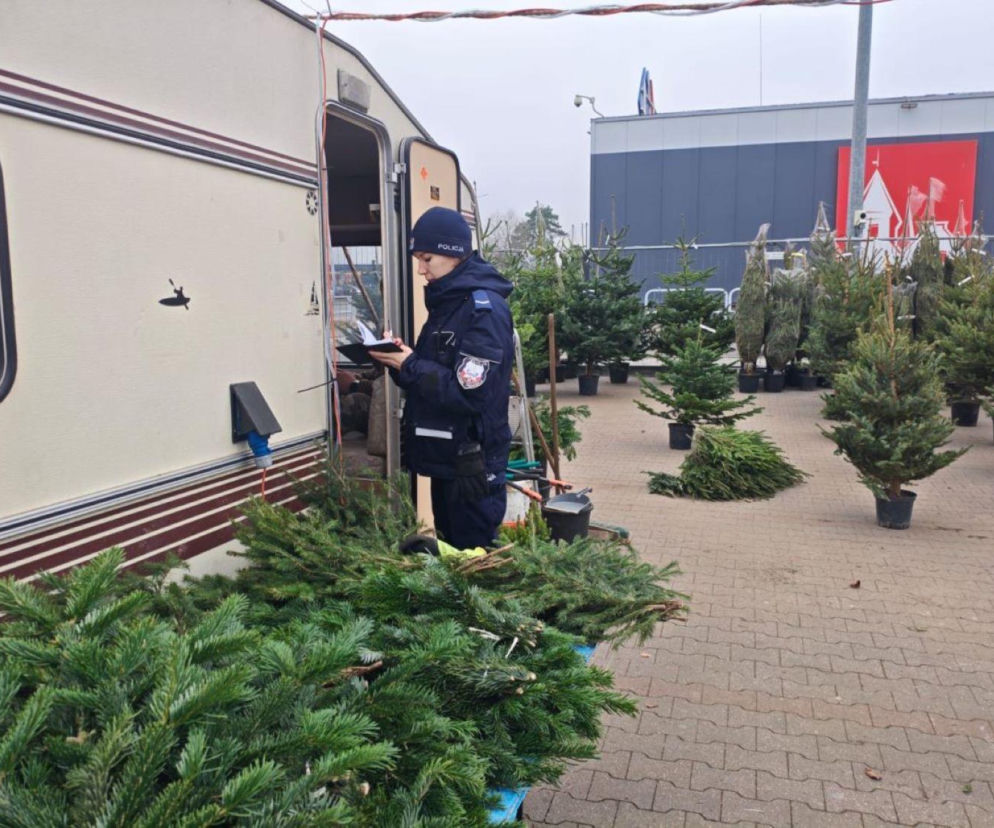 Policjanci z Grudziądza trwają punkty sprzedaży choinek 