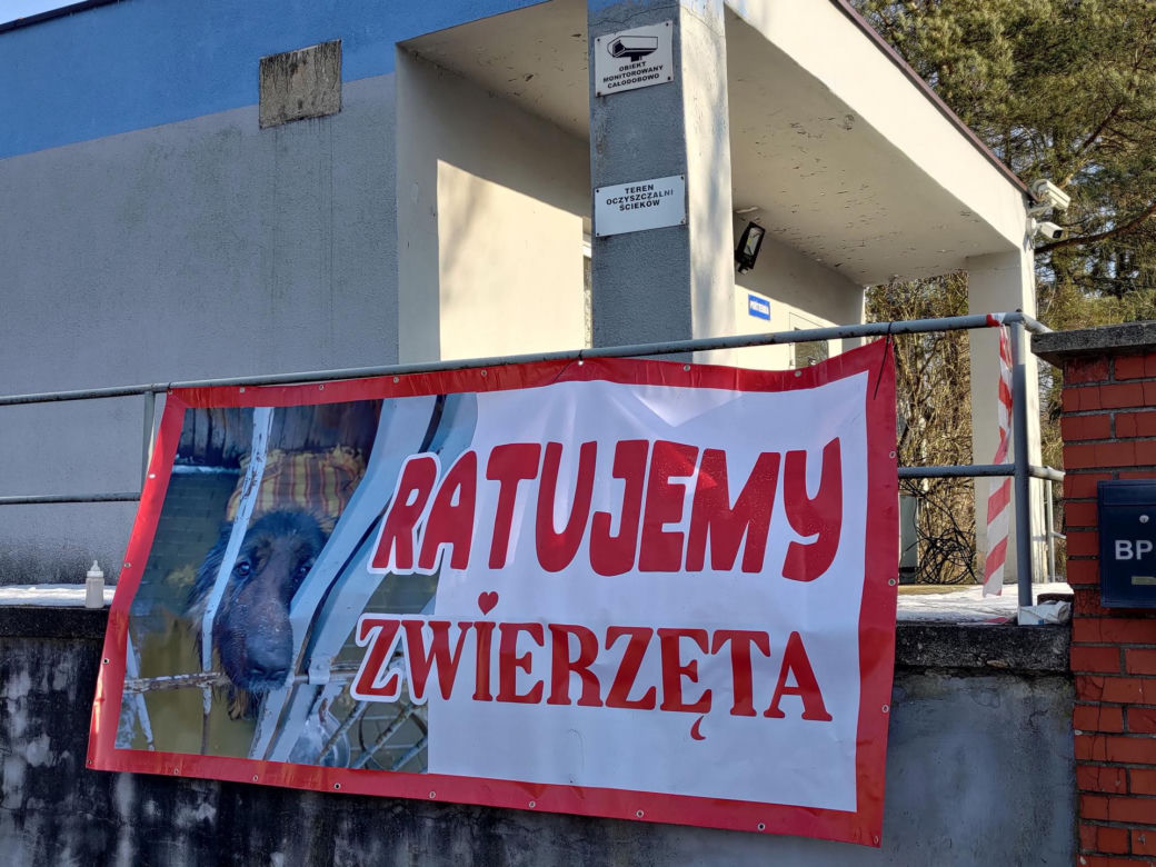 Zamieszanie w schronisku dla zwierząt w Bytomiu