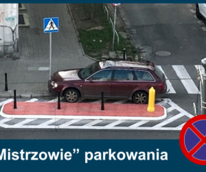 Mistrzowie parkowania. Tak kierowcy parkują w Warszawie