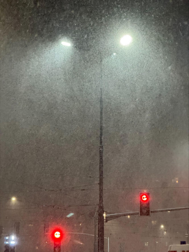 Atak zimy w Warszawie