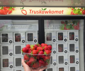 Musisz to zobaczyć! W Warszawie stanął truskawkomat. Owoce prosto z pola o każdej porze dnia i nocy!