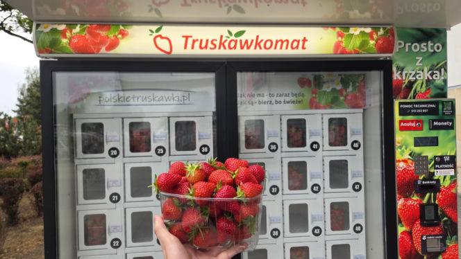 Musisz to zobaczyć! W Warszawie stanął truskawkomat. Owoce prosto z pola o każdej porze dnia i nocy!