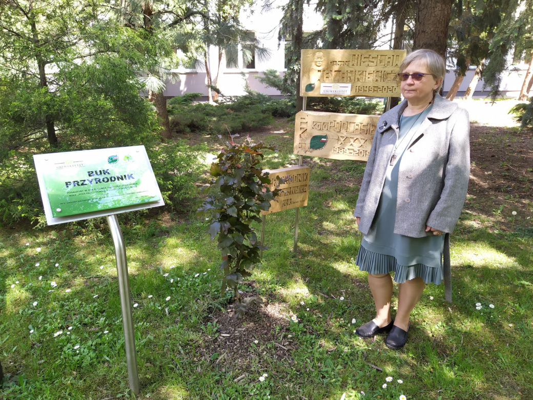 9. Siedleckie Dni Drzewa - inauguracja wiosennej edycji wydarzenia w 2022 roku - zdjęcia
