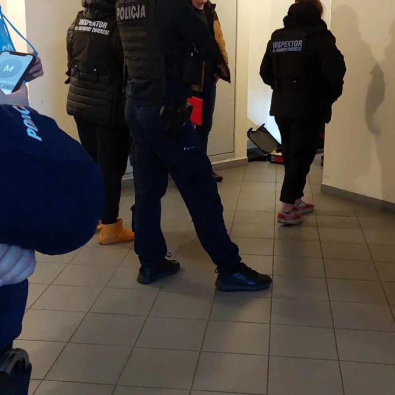 Zostawiła psy na tydzień bez jedzenia i picia! Jednego uwiązała na smyczy