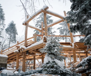 W Małopolsce powstaje ścieżka w koronach drzew! To pierwszy taki projekt w kraju [ZDJĘCIA]