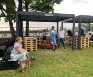 Eska Summer City i „Miasteczko Bezpieczeństwa”. Ogrom wiedzy przed wakacyjnymi podróżami!