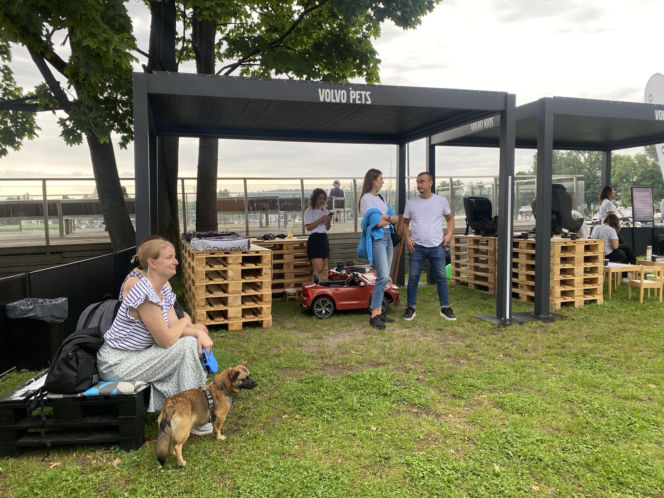 Eska Summer City i „Miasteczko Bezpieczeństwa”. Ogrom wiedzy przed wakacyjnymi podróżami!