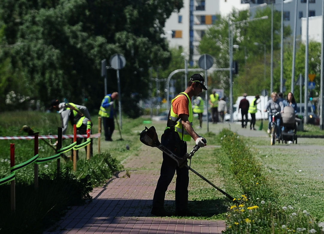 Warszawa wraca do koszenia trawników. Wielka akcja w Warszawie