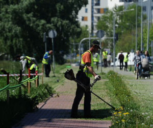 Warszawa wraca do koszenia trawników. Wielka akcja w Warszawie