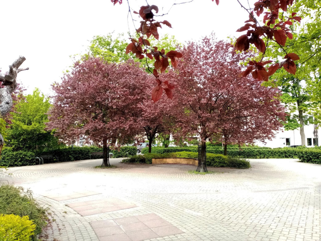 Plac Kasztelański 