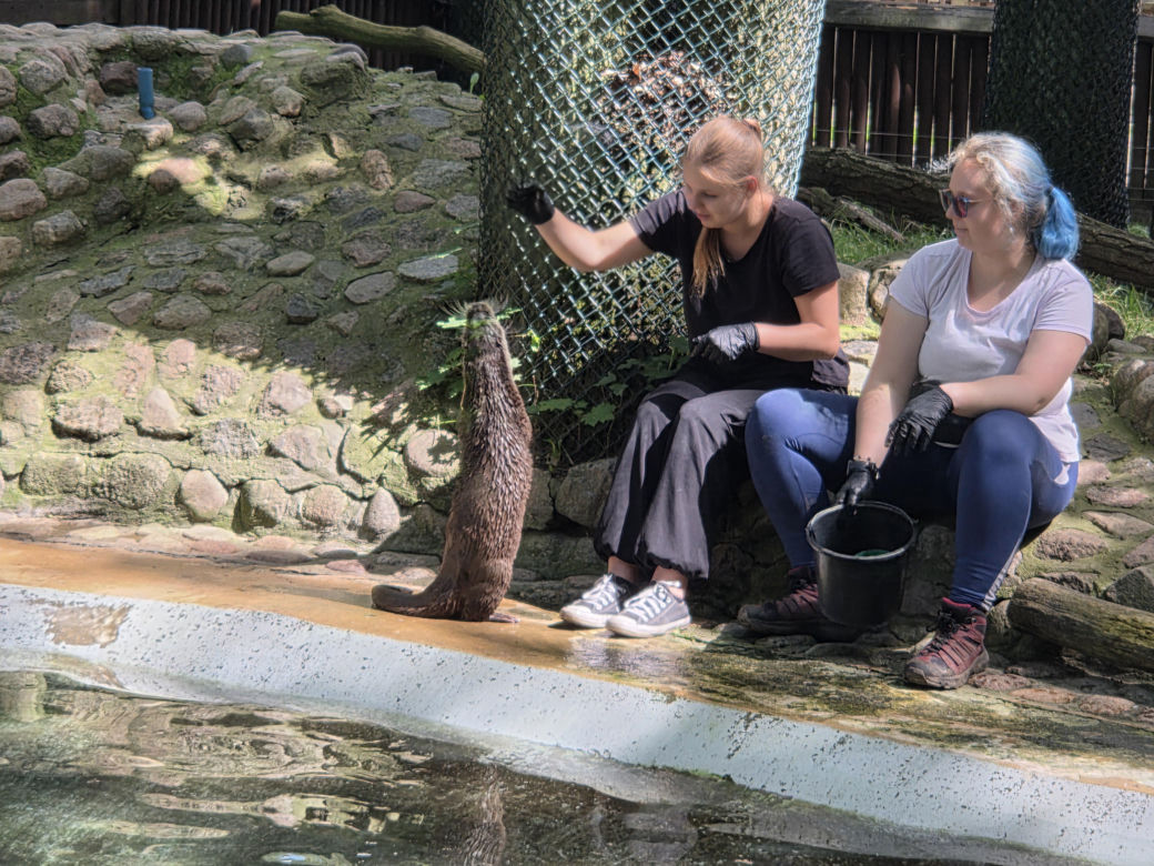 Pokazowe karmienie w myślęcińskim zoo to prawdziwy hit! Sprawdziliśmy to na miejscu