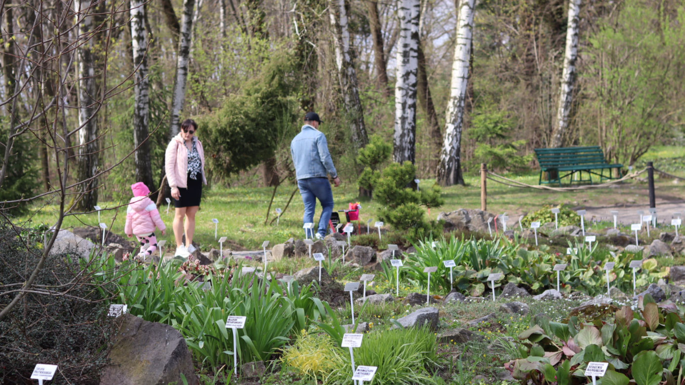 Ogród Botaniczny w Lublinie otwarty! Wszędzie widać wiosnę