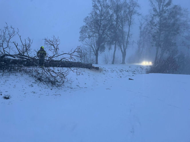 Wichura zniszczyła zabytkową kapliczkę przy sanktuarium