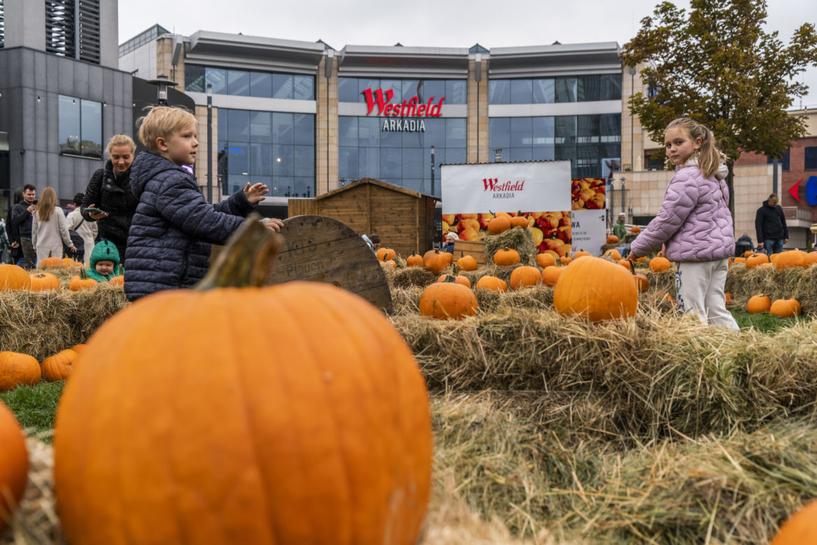 Farma Dyniowa przed galerią handlową Westfield Arkadia
