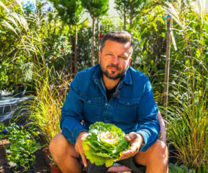 Murator Ogroduje, realizacje