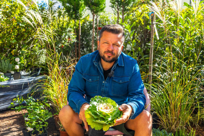 Murator Ogroduje, realizacje