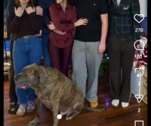 Jacek Rozenek - święta z żoną i synami