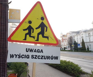 Dziwne znaki pod sądem i bankiem w Toruniu