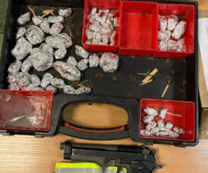 34-latek próbował ukryć narkotyki, ale wpadł przez policyjnego psa