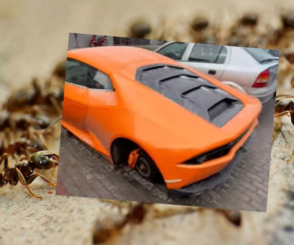 Rozbite Lamborghini w Warszawie straciło koła
