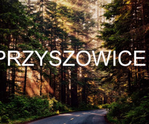 Przyszowice
