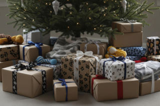 Hity sprzedaży zabawek na święta 2025 ujawnione! Co w tym roku znajdzie się pod choinką?