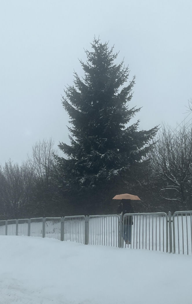 Zima w Lublinie. Miasto tonie w śniegu