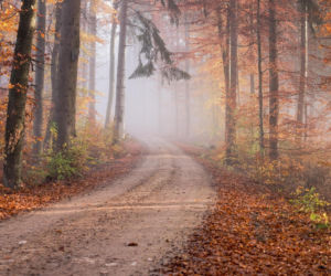 Temperatura w nocy spadnie do  -2°C, a w dzień pojawi się ten problem. Prognoza nie zostawia złudzeń