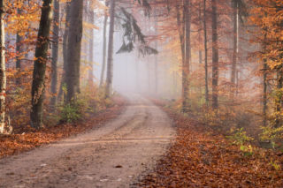 Temperatura w nocy spadnie do  -2°C, a w dzień pojawi się ten problem. Prognoza nie zostawia złudzeń