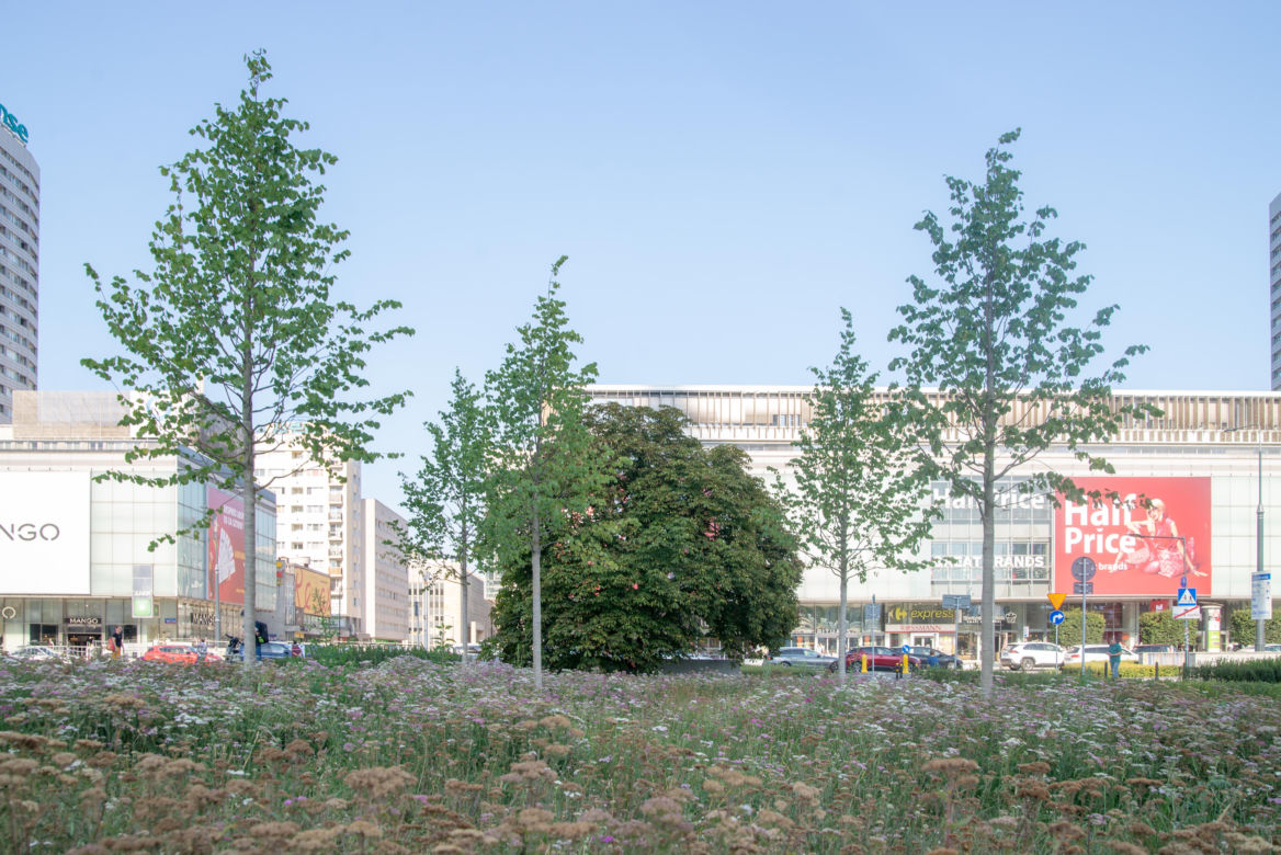 Plac Centralny w Warszawie