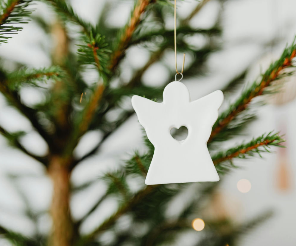 Co zrobić z choinką po świętach? Sprawdzone sposoby na pozbycie się drzewka