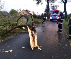 Fatalne skutki wichury w Bydgoszczy i okolicach! 