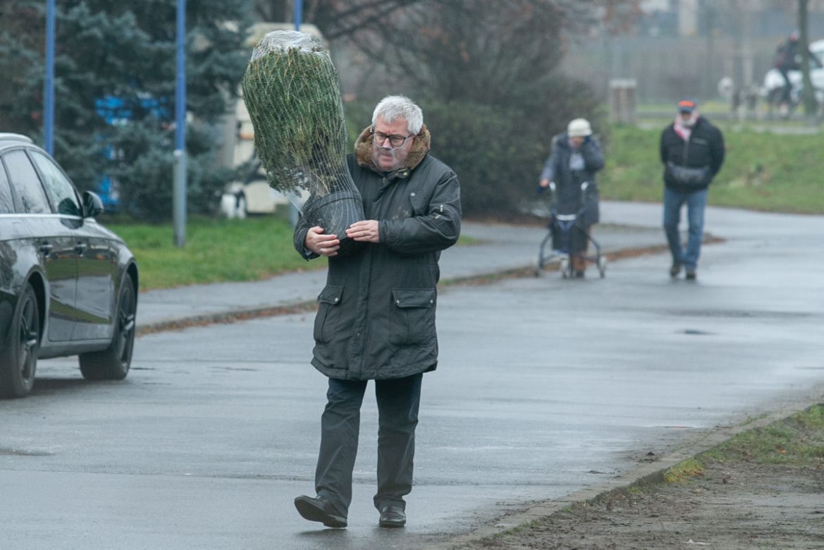 Ryszard Czarnecki. Pojedynek na choinki