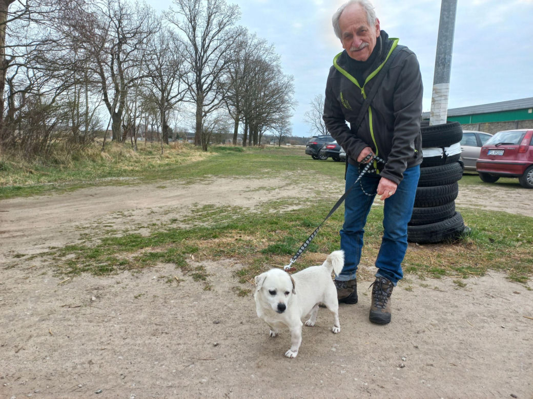 Przybyło psów w schronisku w Henrykowie koło Leszna. "Ilość zatrważająca"