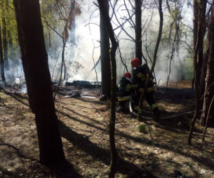 Pożar koczowiska na Piątkowie