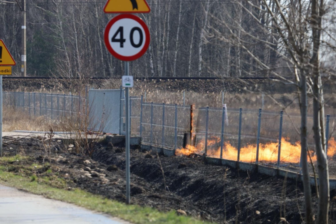Pożar w Lubajnach pod Ostródą! Ogień zagraża schronisku dla zwierząt. Psy ewakuowane!