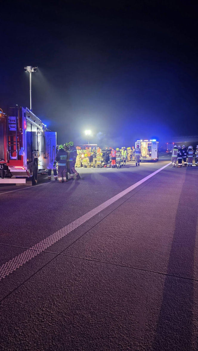 Zderzenie samochodu z łosiem na A2 pod Siedlcami