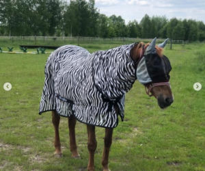 Katarzyna Dowbor, Rodezja